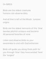 Free download Jesus On Birds free photo or picture to be edited with GIMP online image editor