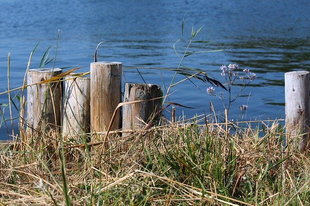 Descărcare gratuită Jetty Web Water - fotografie sau imagini gratuite pentru a fi editate cu editorul de imagini online GIMP