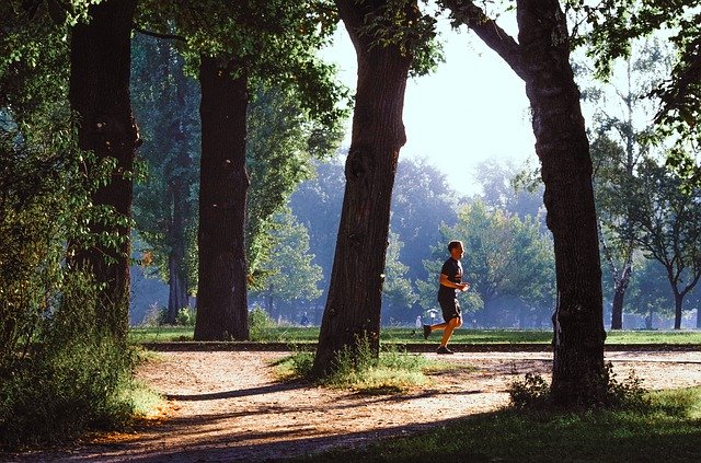 Téléchargement gratuit de Jog Movement Sport - photo ou image gratuite à éditer avec l'éditeur d'images en ligne GIMP