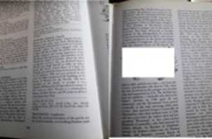 Free download Jones 1 free photo or picture to be edited with GIMP online image editor