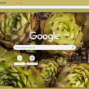 Jovibarba  screen for extension Chrome web store in OffiDocs Chromium