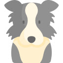 Joyful Border Collie  screen for extension Chrome web store in OffiDocs Chromium