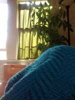 Free download JPEG_20160521_170252_737942096.jpg free photo or picture to be edited with GIMP online image editor