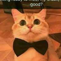 Free download JPEG 20190120 194636 free photo or picture to be edited with GIMP online image editor