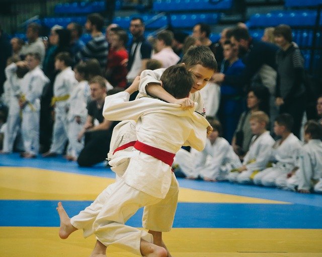 Unduh gratis Judo Athlete Sport - foto atau gambar gratis untuk diedit dengan editor gambar online GIMP