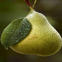 Juicy pear wallpaper  screen for extension Chrome web store in OffiDocs Chromium