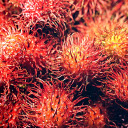 Juicy red rambutans  screen for extension Chrome web store in OffiDocs Chromium
