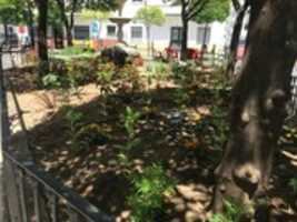 Free download julio a octubre 21 free photo or picture to be edited with GIMP online image editor