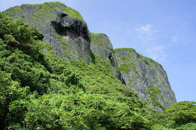 Template Photo Jungle Mountains Landscape -  for OffiDocs