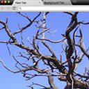 Juniper Theme  screen for extension Chrome web store in OffiDocs Chromium