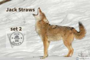 Free download Jupiter Coyote Jack Straws 12.17.1999 free photo or picture to be edited with GIMP online image editor