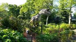Free download Jurassic Park Zoo Dinosaurs -  free video to be edited with OpenShot online video editor