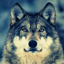 Jurawa Design Wolf 1280x800  screen for extension Chrome web store in OffiDocs Chromium