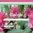 Justice Plant  screen for extension Chrome web store in OffiDocs Chromium