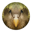 Kakapo for Chrome  screen for extension Chrome web store in OffiDocs Chromium