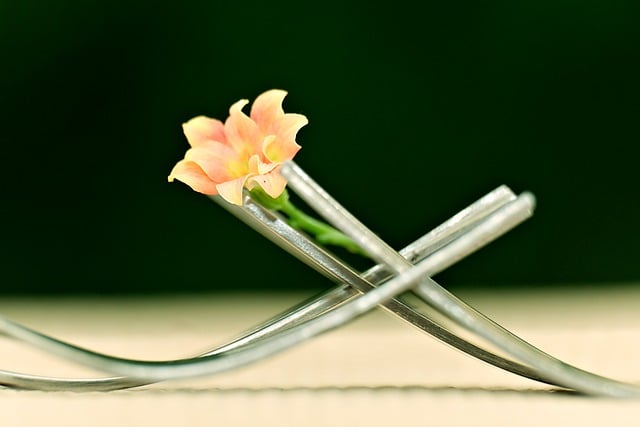 Ücretsiz indir kalanchoe çiçek dekorasyonu çiçeklenme ücretsiz resmi GIMP ücretsiz çevrimiçi resim düzenleyici ile düzenlenecek