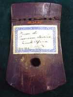 Free download Kalimba free photo or picture to be edited with GIMP online image editor