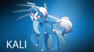 Free download Kali Pony free photo or picture to be edited with GIMP online image editor