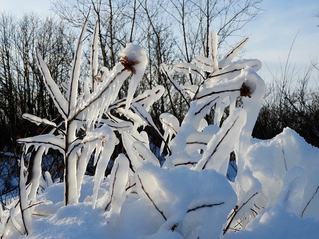 Free download Kamchatka Winter Snow -  free photo or picture to be edited with GIMP online image editor