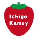 Kamuy Console  screen for extension Chrome web store in OffiDocs Chromium