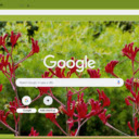 Kangaroo Paw  screen for extension Chrome web store in OffiDocs Chromium