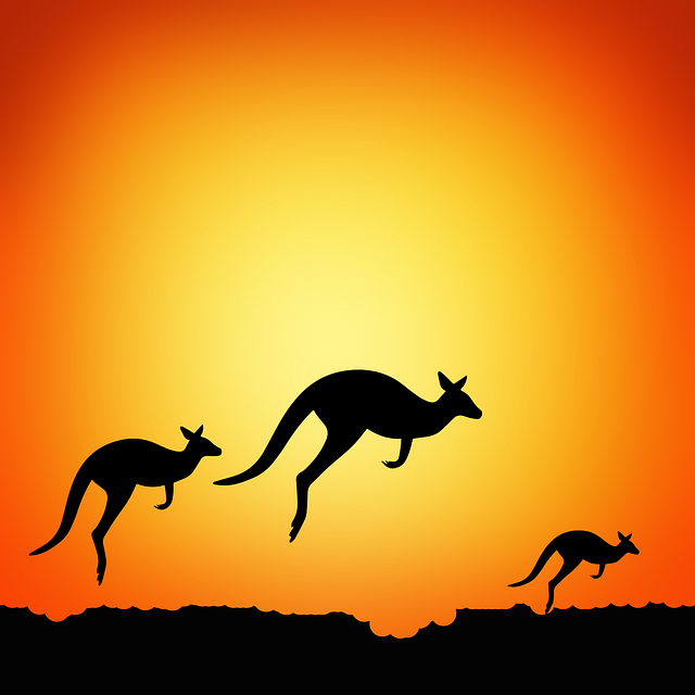 Free download Kangaroos Twilight Australia -  free illustration to be edited with GIMP free online image editor