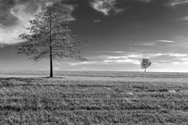 Безкоштовно завантажте безкоштовне зображення kansas park shawnee mission park для редагування за допомогою безкоштовного онлайн-редактора зображень GIMP