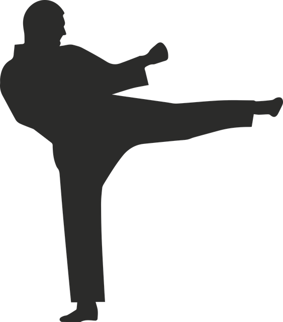 Boxing Homme Model - Photo gratuite sur Pixabay - Pixabay