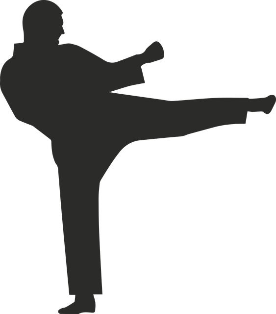 Free download Karate Icon Fight - Free vector graphic on Pixabay free illustration to be edited with GIMP free online image editor