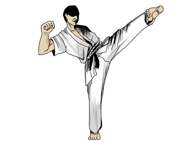 Free download Karate Martial Arts Sports -  free illustration to be edited with GIMP free online image editor