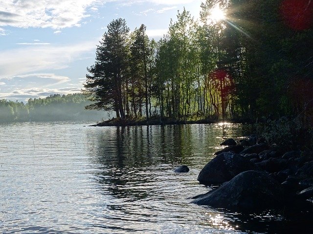 Unduh gratis Karelia Lake Trees - foto atau gambar gratis untuk diedit dengan editor gambar online GIMP