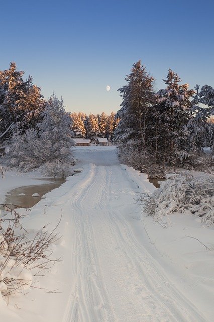 Free download Karelia Village Backwoods -  free photo or picture to be edited with GIMP online image editor