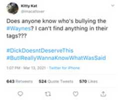 Free download Kat Bullying free photo or picture to be edited with GIMP online image editor