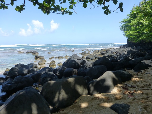 김프 무료 온라인 이미지 편집기로 편집할 수 있는 카우아이 하와이 해변 모래 바위 무료 사진을 무료로 다운로드하세요.