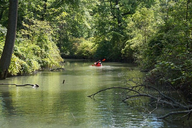 دانلود رایگان Kayak Kayaker River - عکس یا تصویر رایگان قابل ویرایش با ویرایشگر تصویر آنلاین GIMP