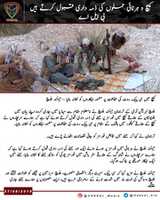 Free download Kech Harnai Attack free photo or picture to be edited with GIMP online image editor