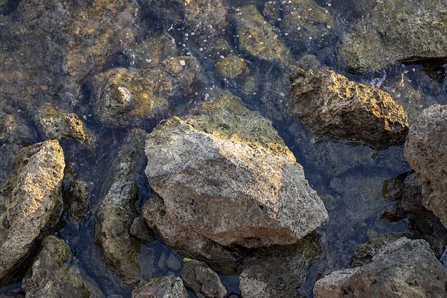 ดาวน์โหลดฟรี kennedy dd that sea Cliff Reef รูปภาพฟรีที่จะแก้ไขด้วย GIMP โปรแกรมแก้ไขรูปภาพออนไลน์ฟรี