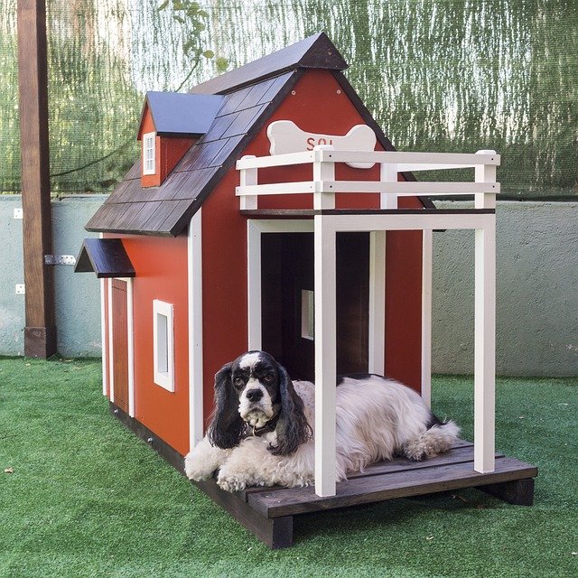 Free download Kennels For Pets Dog Houses Wooden -  free photo or picture to be edited with GIMP online image editor