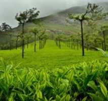 Free download Kerala Tour Operators free photo or picture to be edited with GIMP online image editor