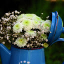 Kettle and flowers  screen for extension Chrome web store in OffiDocs Chromium