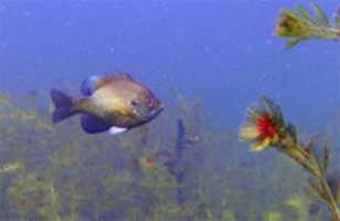 Free download keuka-lake-2016-08-02-kurz-mini free photo or picture to be edited with GIMP online image editor