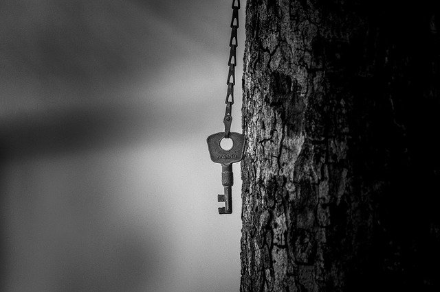 Gratis download Key Tree Metal - gratis foto of afbeelding om te bewerken met GIMP online afbeeldingseditor