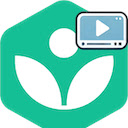 Khan academy: switch back to default video player  screen for extension Chrome web store in OffiDocs Chromium