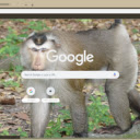 Khi dau cho  screen for extension Chrome web store in OffiDocs Chromium