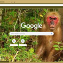 Khi dau do  screen for extension Chrome web store in OffiDocs Chromium