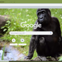 Khi Gorilla  screen for extension Chrome web store in OffiDocs Chromium