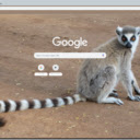 Khi Lemur  screen for extension Chrome web store in OffiDocs Chromium