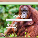 Khi Orangutan  screen for extension Chrome web store in OffiDocs Chromium
