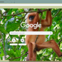 Khi vooc  screen for extension Chrome web store in OffiDocs Chromium