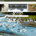 Khu sinh thái Giao Xuân  screen for extension Chrome web store in OffiDocs Chromium